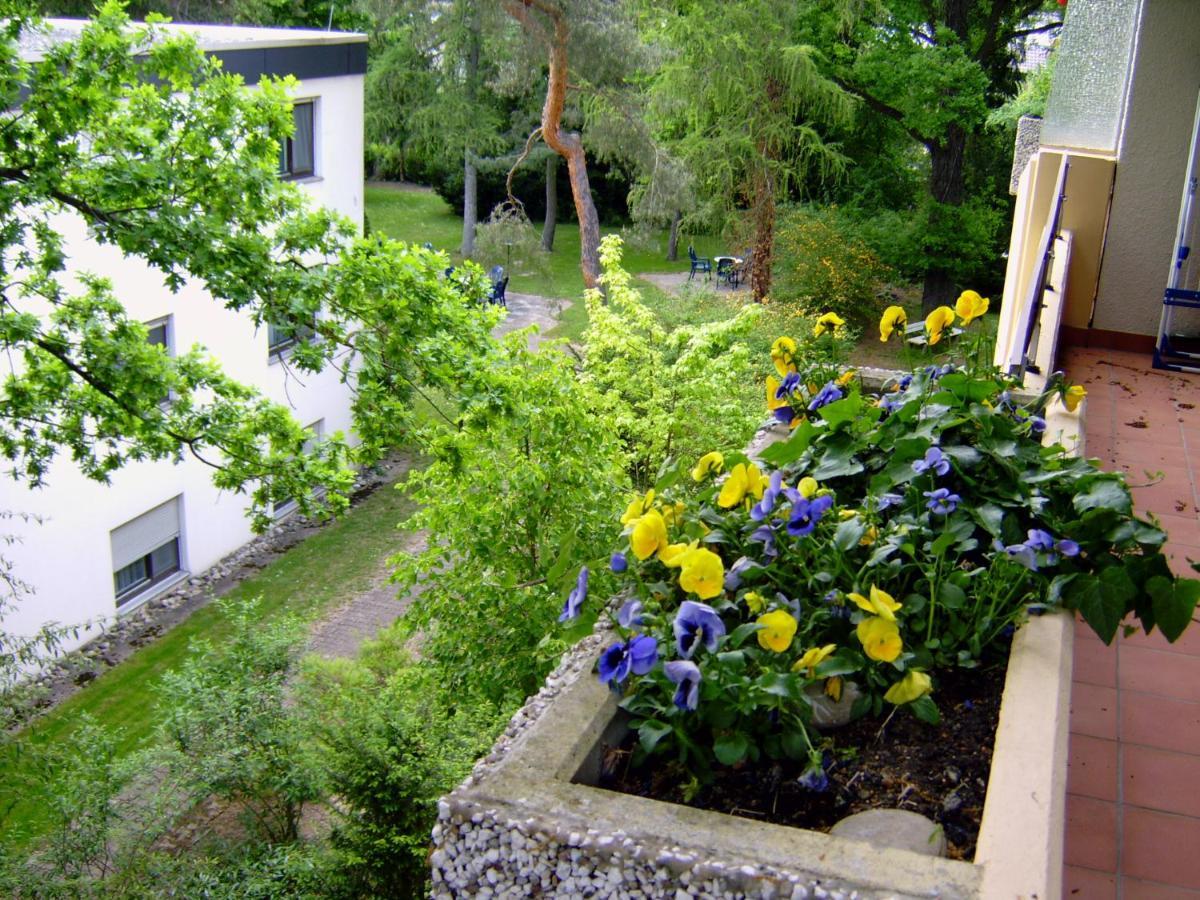 Appartementhaus Im Gruen Bad Bellingen Extérieur photo