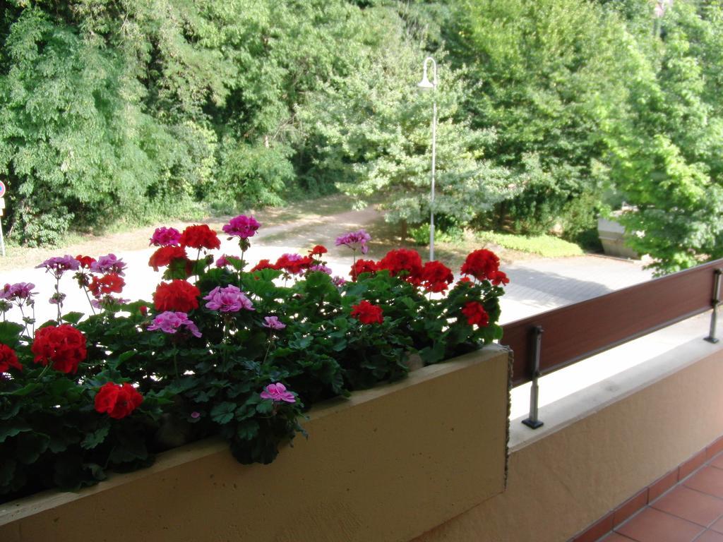 Appartementhaus Im Gruen Bad Bellingen Chambre photo